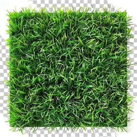 Textures Herbe PSD 2 000 modèles PSD gratuits de haute qualité à