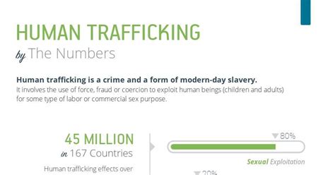 Human Trafficking By The Numbers Infographic