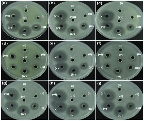 Determination Of Zone Of Inhibition ZOI For ZO And AZO Samples