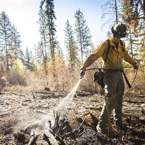 CDRC California Inmate Locator: Fast, Accurate Info On California Prisoners. - MediaMecca