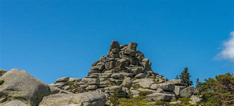 A Os Del Parque Nacional De La Sierra Guadarrama