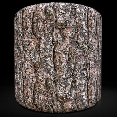 Wood Bark Texture 4K 13 | CGTrader