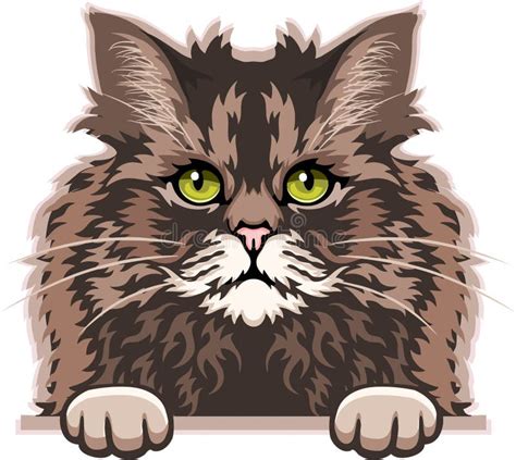 Selkirk Rex Cat Color Vector Peeking Cats Cats Breed Pet Vector