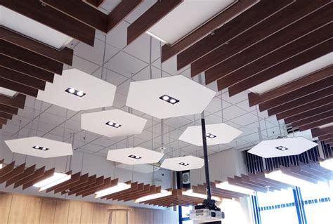 Pet Acoustic Ceiling Jiangsu Eageren New Materials Technology Co Ltd