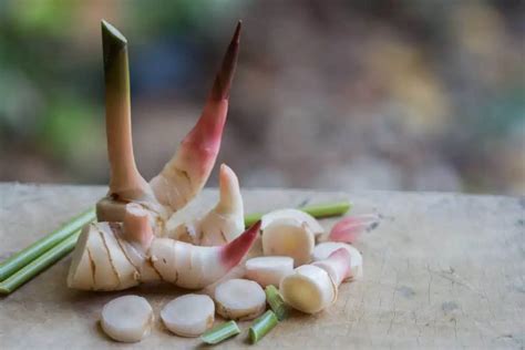 The Best Galangal Substitutes For Your Recipes