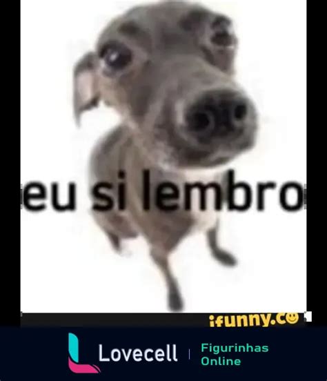 Figurinha Meme Eu Si Lembro Para WhatsApp Lovecell