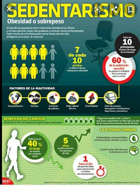 Infografia Del Sedentarismo Brainly Lat