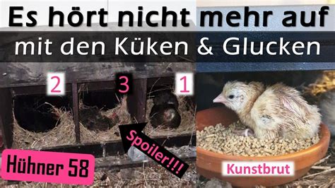 Wir K Nnen Uns Vor K Ken Kaum Retten Kunstbrut X Neue