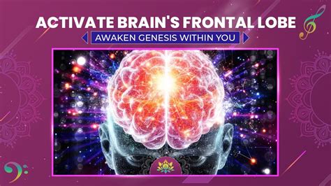 Activate Your Brain S Frontal Lobe Awaken The Genesis Within You