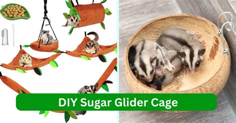 Diy Sugar Glider Cage 5 Different Styles Petfeling