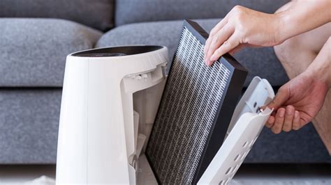 How To Use An Air Purifier To Remove Dust More Efficiently