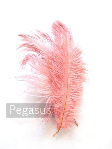 Rose Pink Ostrich Feather Drab Inches Package Option Etsy