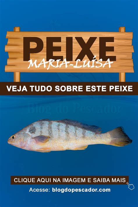 Peixe Maria Luisa Saiba Tudo Sobre Esta Esp Cie Peixes Peixes De