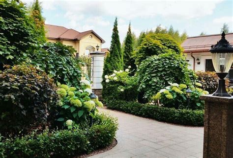 Дивный Сад Фото – Telegraph