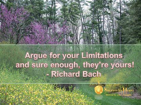 Illusions Richard Bach Family Quotes. QuotesGram