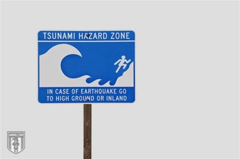 Tsunami Preparedness: A Seismic Wave Survival Guide ...