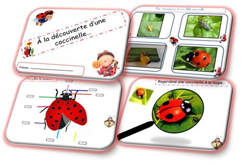 Bienvenue Au Les Coccinelles Fr Page Les Coccinelles Fiches D Hot Sex