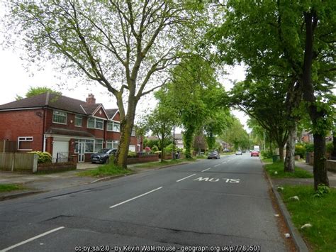 Tree Lined Hayeswater Road Kevin Waterhouse Geograph Britain And