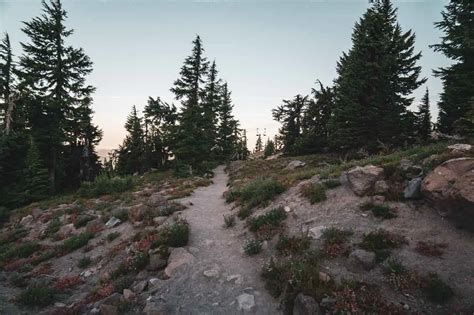 Guide to Hiking the Timberline Trail | Halfway Anywhere