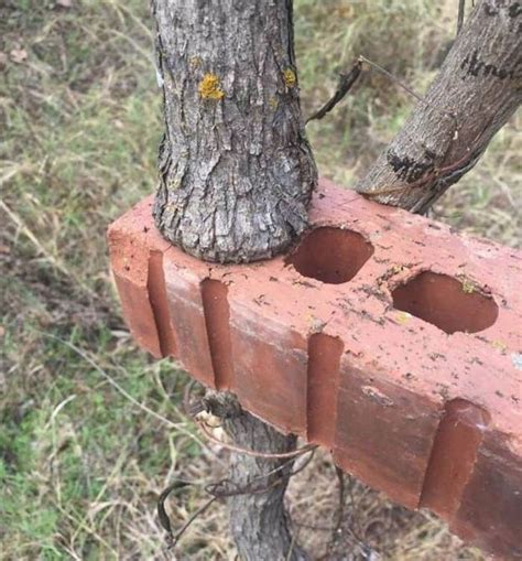 Photos Tonnantes Qui Montrent Que La Nature Reprend Toujours Ses