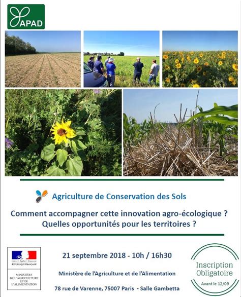 Agriculture De Conservation Des Sols