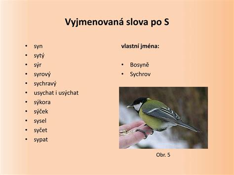 PPT Pravopis vyjmenovaná slova PowerPoint Presentation free