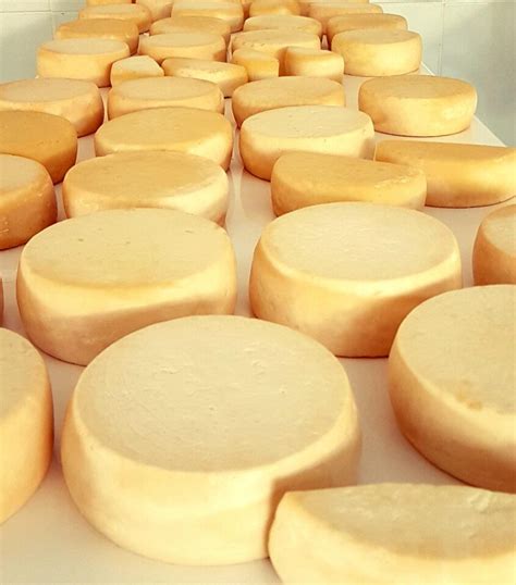 Festa do queijo em Minas tristeza na França Além do Fato