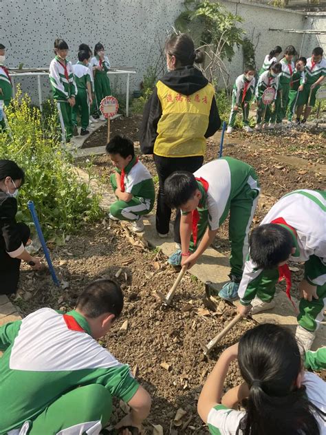 传承劳动好家风，五眼桥小学学子化身“小农夫”体验劳动快乐