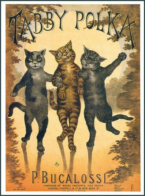 Sheet Music Cover Tabby Polka By Pietro Bucalossi X Kb