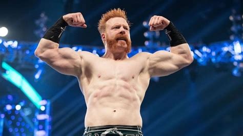 Sheamus Vanishes From Social Media Amid Wwe Absence Wrestling News