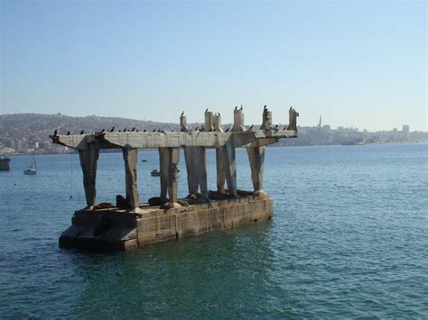 Muelle Baron Hogar De Lobos Marinos Volaito En Valparaiso Flickr