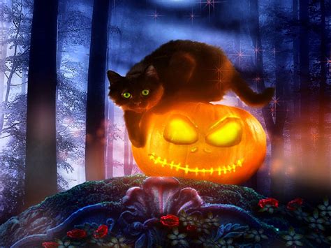 Cute Cat Halloween Wallpaper