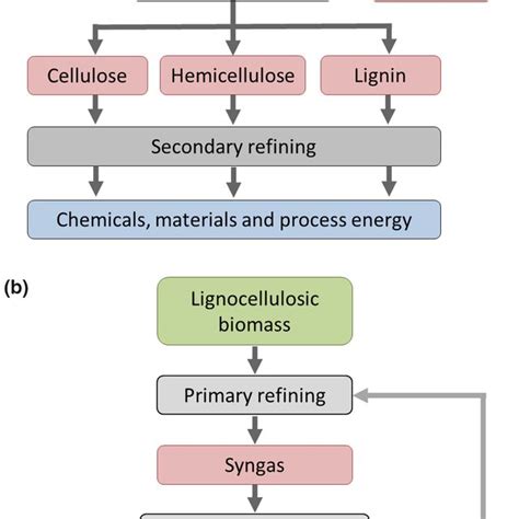 Biorefinery Concepts Making Use Of Lignocellulosic Biomass Adapted