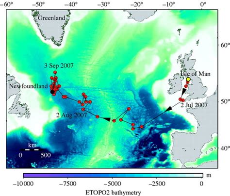 Transatlantic Migration And Deep Mid Ocean Diving By Basking Shark