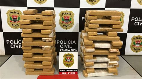 Polícia encontra maconha enterrada em terreno de Ribeirão Preto