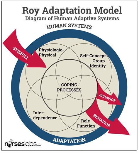 Sister Callista Roy Adaptation Model Of Nursing Nurseslabs