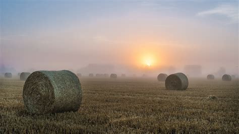 Download Wallpaper 1920x1080 Hay, fields, morning, fog, sunrise Full HD ...