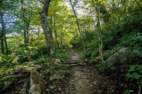 Taiyo's Meanderings: Mt Pisgah Trail hike