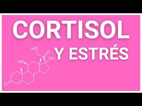 Qu Es El Cortisol C Mo Funciona Y C Mo Afecta Al Estr S La Hormona