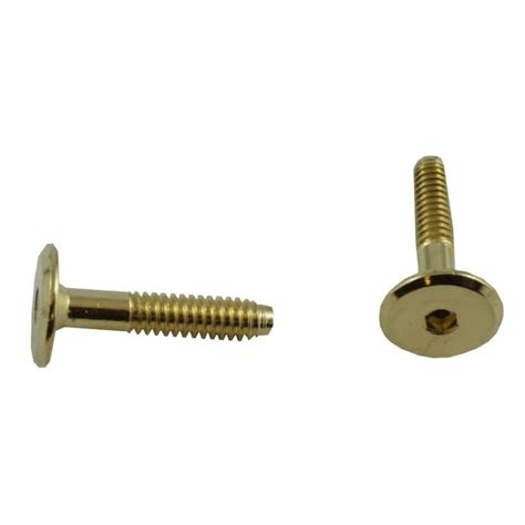 Home Pak 2 Pack 1 4 X 30mm Brass Plated Connector Bolts Home Hardware