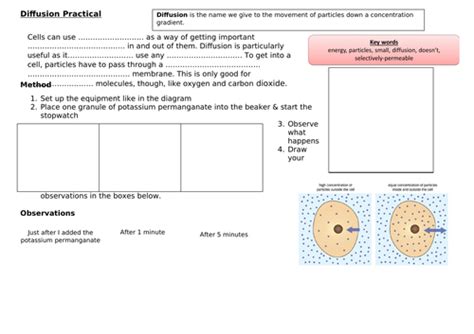 Diffusion Potassium Permanganate Low Ability Teaching Resources