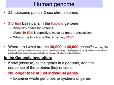 Genome Structure