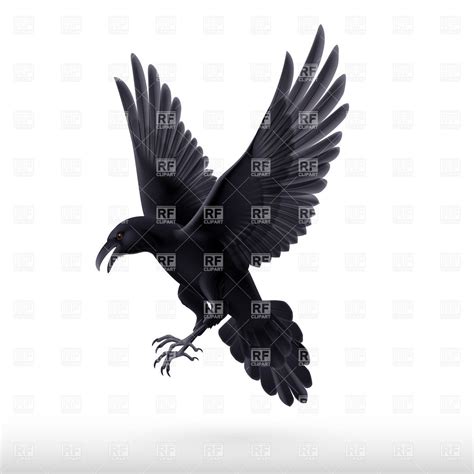 Raven Flying Drawing at GetDrawings | Free download