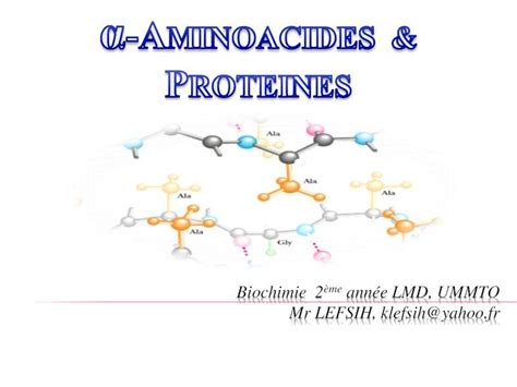 PDF Biochimie acides aminés et protéines DOKUMEN TIPS