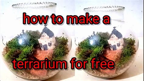 How To Make A Terrarium Simple Terrarium Making Terraria Terrarium