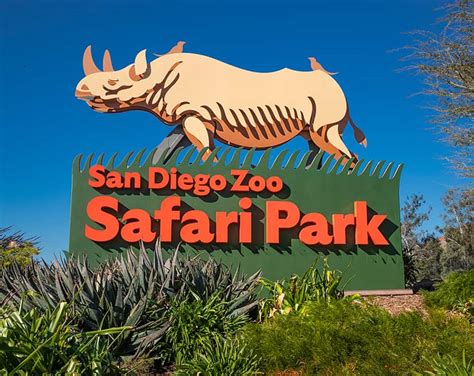 11 Of The Best Zoos In San Diego California Socal Field Trips