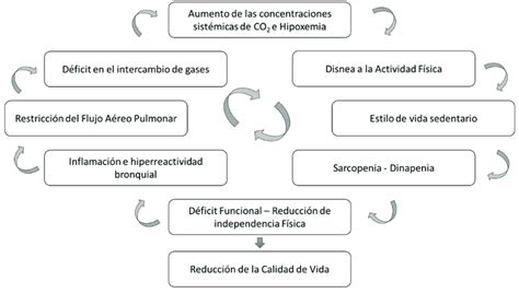 Representación esquemática del círculo vicioso que inciden en