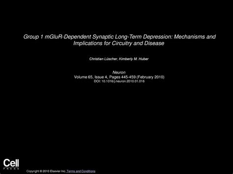 Group Mglur Dependent Synaptic Long Term Depression Mechanisms And