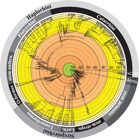 Figure 1 From Extant Species Fail To Estimate Ancestral Geographical