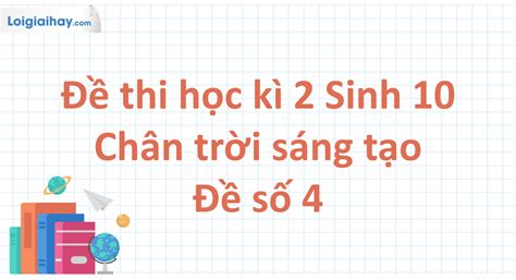 Đề Thi Học Kì 2 Sinh 10 Chân Trời Sáng Tạo Đề Số 4 Đề Thi đề Kiểm